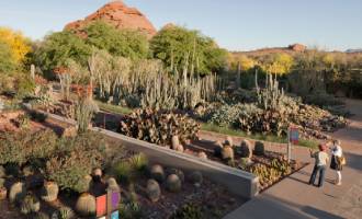 Desert Botanical Garden