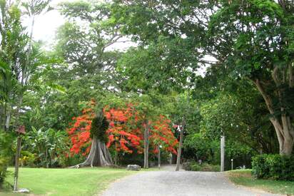 St George Village Botanical Garden St Croix