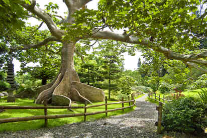 Jardín botánico de Santo Domingo