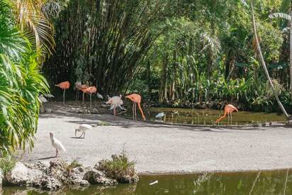 Jardines Flamingo