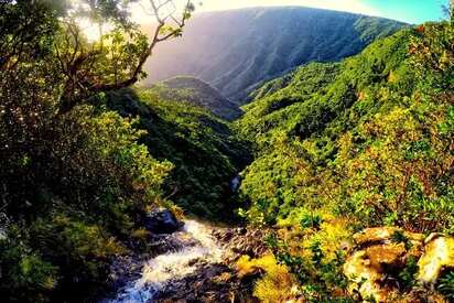 Black River Gorges National Park Mauritius