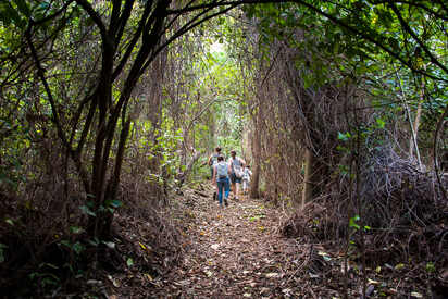 Chocoyero-El Brujo Natural Reserve