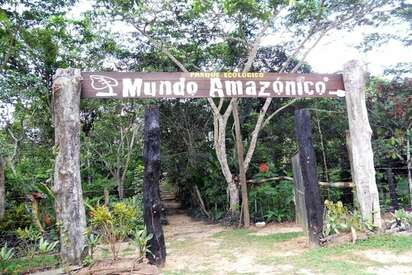 Mundo Amazônico Leticia 