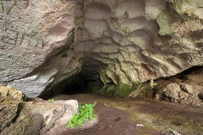 Cave of Pellumbas Tirana