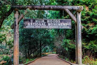 Muir Woods National Monument San Francisco